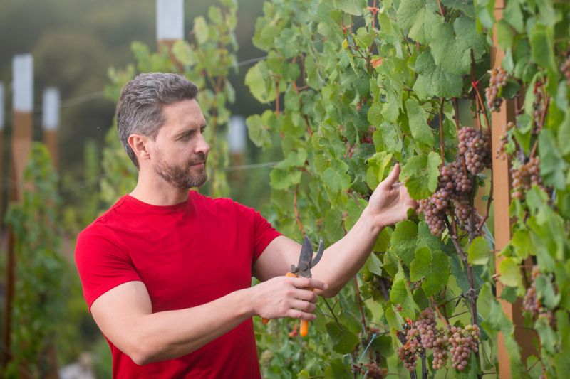 Best Siding Installation pros in Grapevine, TX